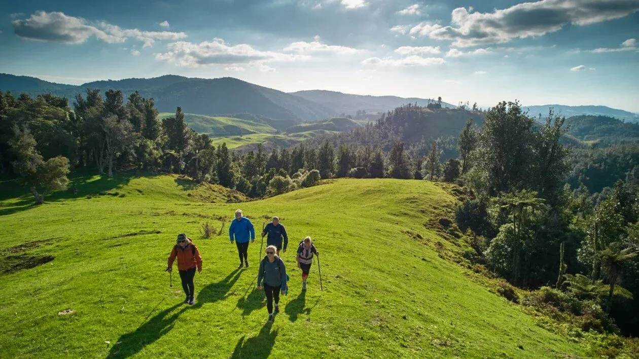 Walkers crossing green hill country on Piquet Hill Station